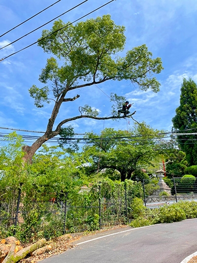 株式会社エニシア作業風景