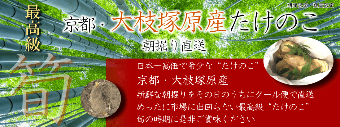 京都・大枝塚原特産たけのこ ヘッダー画像
