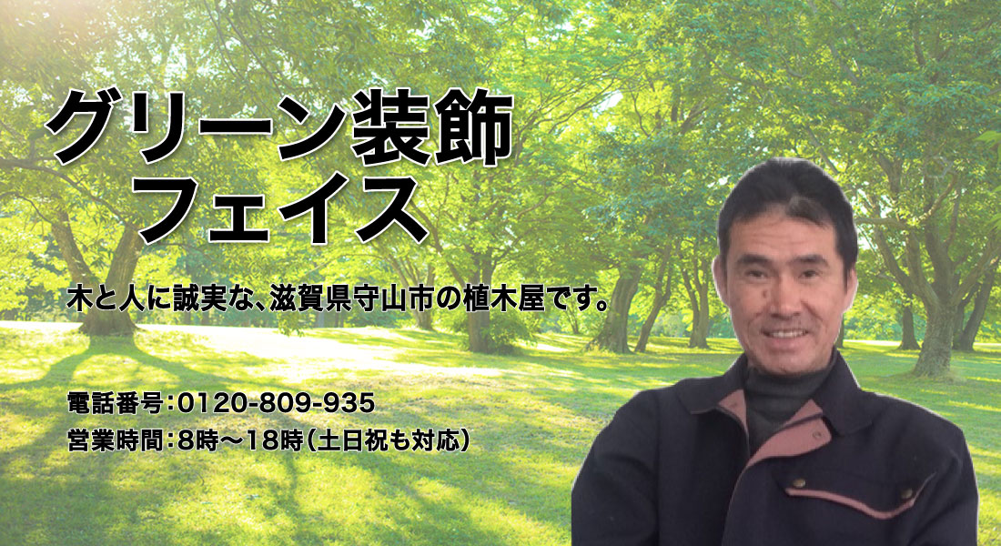 グリーン装飾フェイス 木と人に誠実な、滋賀県守山市の植木屋です