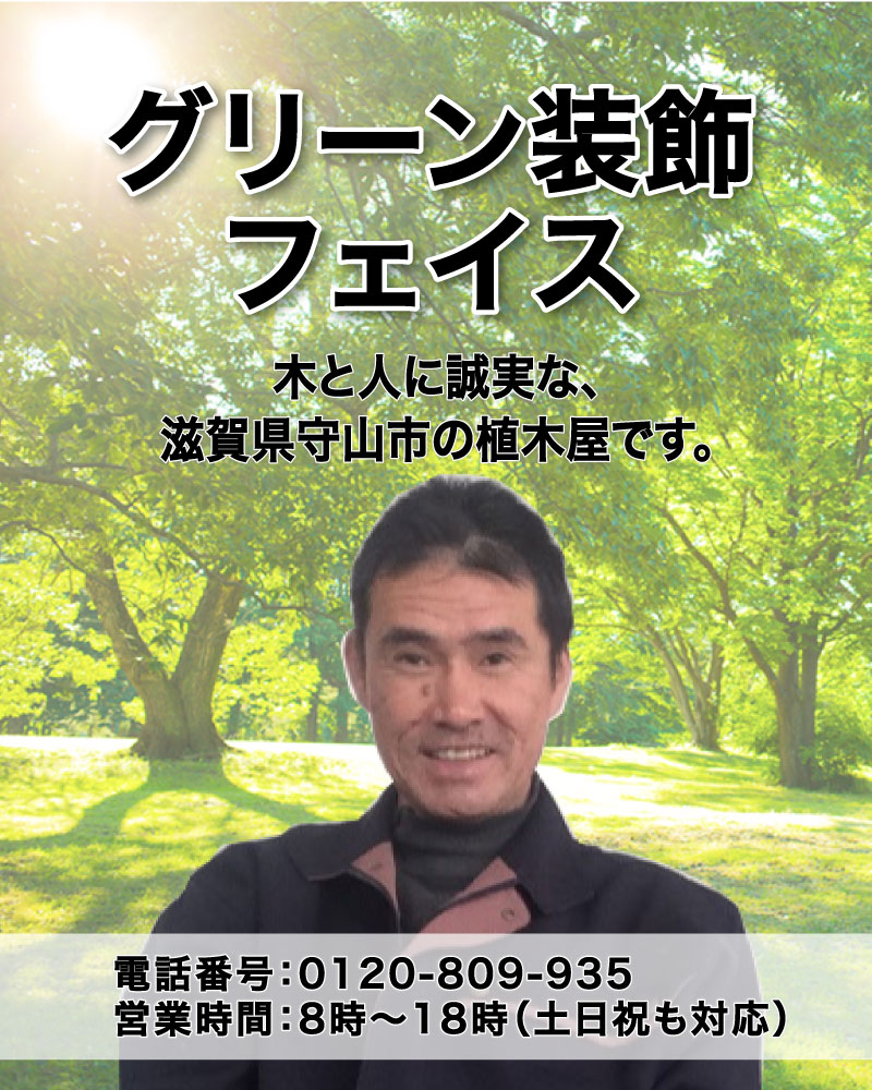 グリーン装飾フェイス 木と人に誠実な、滋賀県守山市の植木屋です