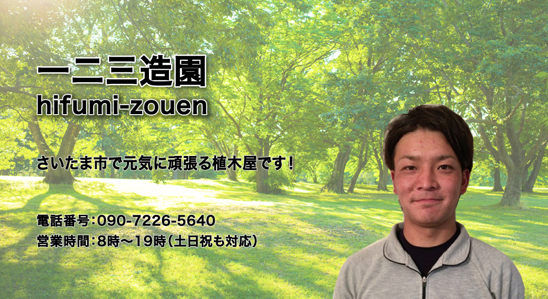 一二三造園 さいたま市で元気に頑張る植木屋です!