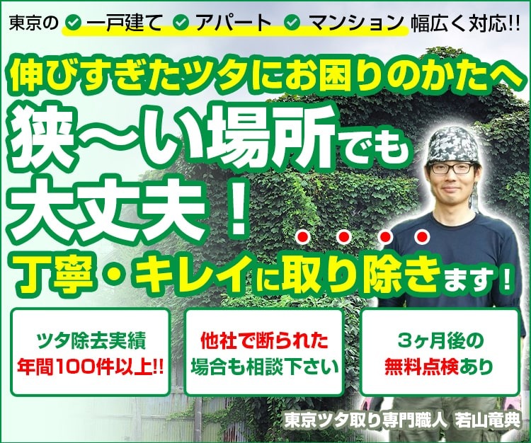 放置しているツタを他社より安く除去しませんか？