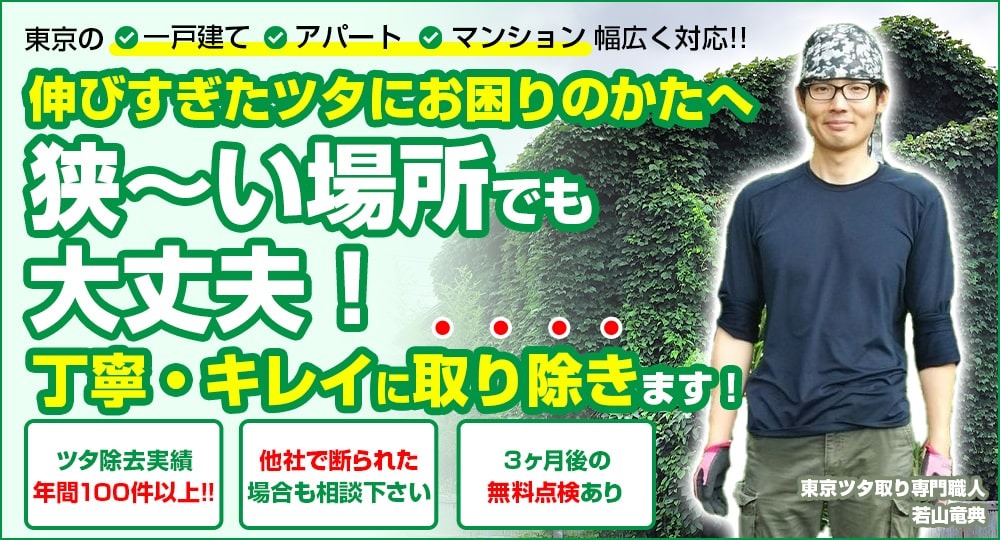 放置しているツタを他社より安く除去しませんか？